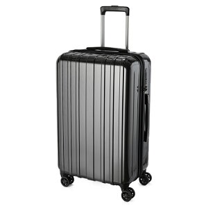 yǉő+39{b11/5zAWAQ[W X[cP[X MTCY 60L ^ y 킢 L[P[X uh LGb^ A.L.I Asia Luggage carieta-ltd-60y݌Ɍz