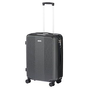 yő32{b11/15zG[X [hgx[ {gxC X[cP[X L[P[X 53L MTCY É y Xgbp[t ACE World Traveler 06952 acecp