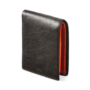 yubNtCf[P51{(ő)z^PILN` z ܂z Y uh U[ {v TAKEO KIKUCHI 177624