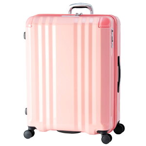 yő43{b10/5zAWAQ[W X[cP[X LTCY LL 102L 158cmȓ  y g ^ e ő Xgbp[t fJEdge A.L.I Asia Luggage ALI-088-102 L[P[X