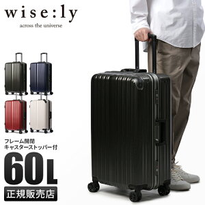 yő45{b10/5zCY[ X[cP[X MTCY 60L y ^ t[^Cv LX^[Xgbp[ L[P[X Xp[N wise:ly wisely spark 338-2081 cpn10o