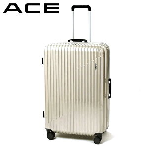 yő41{zG[X X[cP[X LTCY 83L  158cmȓ ^ e Xgbp[t t[^Cv NX^2 ACE 05108 L[P[X L[obO acecp