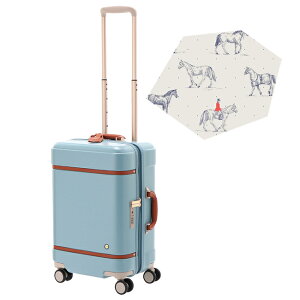 yő55{b12/5z10Nۏ G[X ng m[g X[cP[X @ STCY SS 31L  y  킢 Xgbp[t fB[X uh 23 ACE HaNT Notre 06881 L