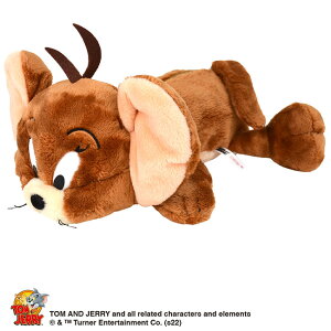yő45{b10/5zjL tBMA|[` ʂ݃yP[X gƃWF[ ZT~Xg[g G NbL[X^[ LN^[ |[`  NICI nici-f-pouch4