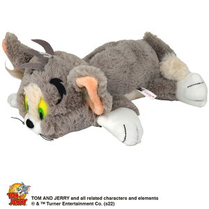 yő29{zjL tBMA|[` ʂ݃yP[X gƃWF[ ZT~Xg[g G NbL[X^[ LN^[ |[`  NICI nici-f-pouch4