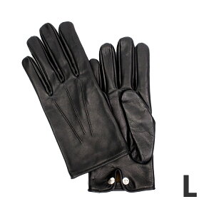 yő55{b12/5z_[oQ[W O[u  v  U[O[u Y uh {v { WONDER BAGGAGE GLOVE WB-A-019