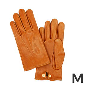 yő32{z_[oQ[W O[u  v  U[O[u Y uh {v { WONDER BAGGAGE GLOVE WB-A-019