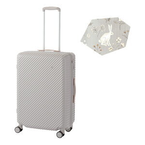 yubNtCf[P51{(ő)zG[X ng RRg X[cP[X MTCY 58L Xgbp[t  y ^  킢 HaNT KOKONT 05514 L[P[X acecp