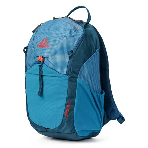 �y�ő�43�{�z�O���S���[ ���[�X�n�C�L���O �����b�N �~�j�����b�N �L�b�Y �q�� �j�̎q ���̎q ���w����w�N 12L GREGORY YOUTH HIKING wander12