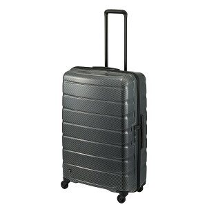 �y�ő�42�{ 5/25����z�G�[�X �v���e�J �G�A���t���b�N�XDX2 �X�[�c�P�[�X L�T�C�Y LL XL 100L ��^ ��e�� �y�� �É� PROTECA Aeroflex DX2 01524 �L�����[�P�[�X �L�����[�o�b�O