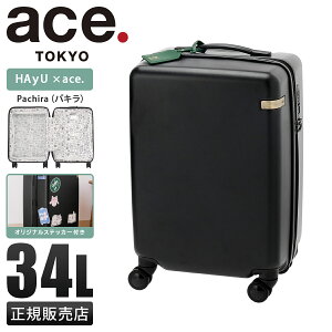 yő44{b9/20zG[X g[L[[x HAyU pL X[cP[X STCY SS 34L @ É ace.TOKYO LABEL 05781-01 L[P[X L[obO