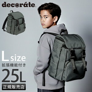 �y�ő�30�{ 3/15����z�f�R���[�g �o���s�[ �����b�N 25L L�T�C�Y �g���@�\ A4 PC���[ ���C���J�o�[�t�� �����h�Z���^ ���w�� �ʊw �ʏm decorate BUMPY DMS-100-L