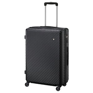 �n���g �}�C�� 65cm 06053