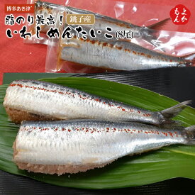 楽天市場 イワシ 銚子の通販