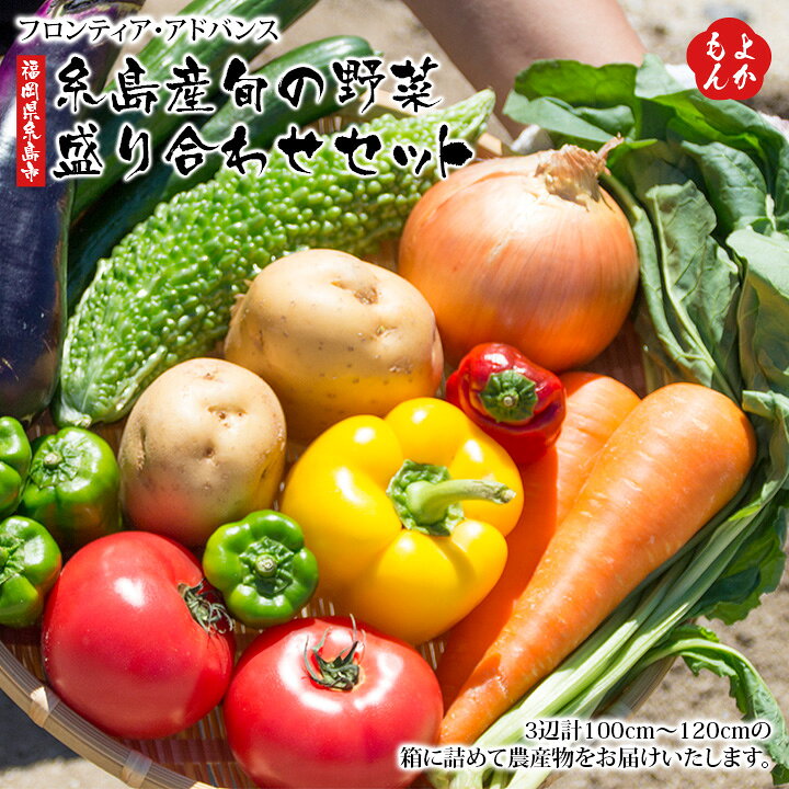 楽天市場 福岡県糸島市 糸島産 旬の野菜盛り合わせセット 送料無料 フロンティア アドバンス 九州 福岡 お取り寄せ 福岡県よかもんショップ 福岡県よかもんショップ