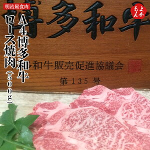 A4a[Xē 500gyzH B  񂹃O 悩Vbv