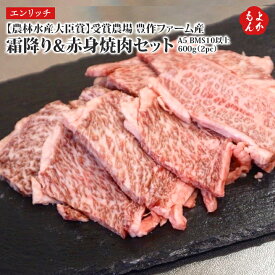 農林水産大臣賞”受賞農場　豊作ファーム産　博多和牛　霜降り&赤身焼肉セット A5 BMS10以上　600g（2pc）【送料無料】株式会社エンリッチ　九州　福岡　お取り寄せグルメ　福岡県よかもんショップ