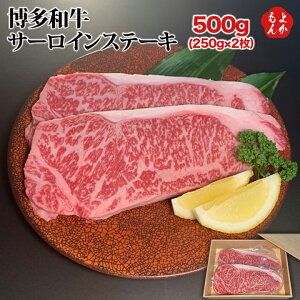 yazT[CXe[L500gi250g×2jyz h~[g B  񂹃O 悩Vbv