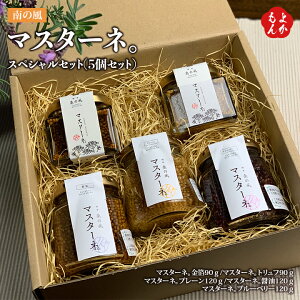 �}�X�^�[�l�B�X�y�V�����Z�b�g(5�Z�b�g�j�������E�g�����t�E�v���[���E�ݖ��E�u���[�x���[���y���������z������Ѓv���i�� ��̕� ���� �����񂹃O���� �������悩����V���b�v