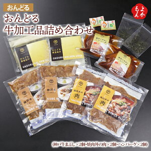 ハンバーグ 詰め合わせの人気商品 通販 価格比較 価格 Com