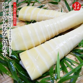 楽天市場 竹の子の通販 楽天市場 竹の子の通販