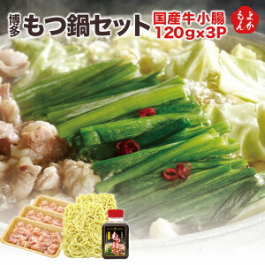  ZbgyzqT_t[Y  B  񂹃O 悩Vbv