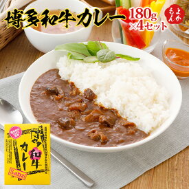 博多和牛カレー　180g×4セット【送料無料】エヌ・ティー・ケイ　サブジ DOCOREふくおか商工会ショップ　九州 福岡 お取り寄せグルメ 福岡県よかもんショップ　do-04