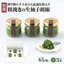 唐辛子を食べる柚子胡椒 65g瓶×青3本【送料無料】 居食屋一栄 九州 福岡 お取り寄せグルメ 福岡県よかもんショップ