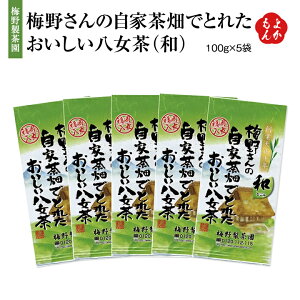 ~삳̎ƒłƂꂽiaj100g×5܃Zbgyz~쐻  { Β t B  񂹃O 悩Vbv basic