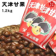 天津甘栗 1.2kg（真空パック120g×10）【送料無料】天津甘栗山田屋 焼栗 あまぐり 九州 福岡 お取り寄せ…