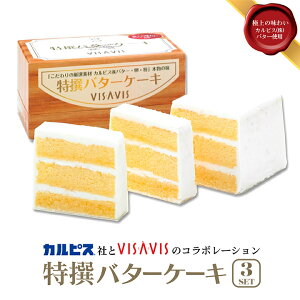 o^[P[L@3ZbgyzV[NX BUB VISAVIS JsXЋJ JsXo^[ B  񂹃O 悩Vbv