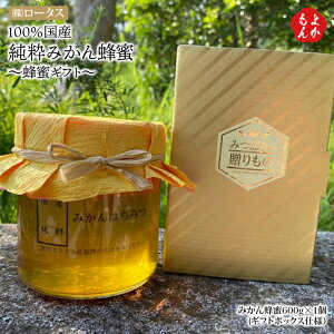 100Y݂I 600g `IMtg` yz[^X B  񂹃O 悩Vbv