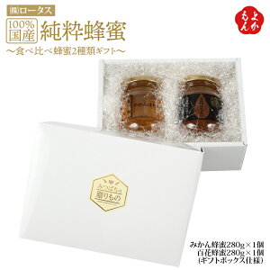 100YI@`HהזI2ރMtg`݂IESԖIyz[^X@B  񂹃O 悩Vbv