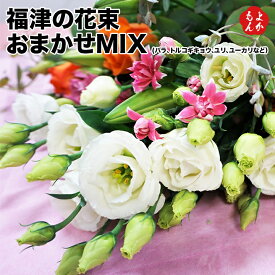 楽天市場 ユーカリ 花束 切花 花 観葉植物 花 ガーデン Diyの通販