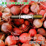 【木曜日限定発送】ビーツ 2kg (訳あり品：Sサイズ中心・虫食い・傷・くぼみ等) 化学肥料不使用 化学農薬…
