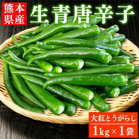 国産 青唐辛子1kg×1袋 熊本県産 辛口 生青唐辛子 唐辛子 トウガラシ とうがらし【へた無し】【品種：大紅とうがらし】