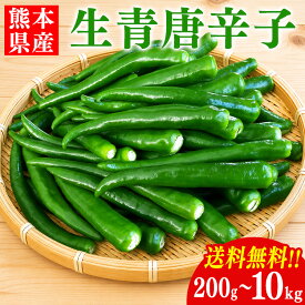 国産 青唐辛子 200g ～ 10kg 送料無料 熊本県産 辛口 生青唐辛子 唐辛子 トウガラシ とうがらし【へた無し】【品種：大紅とうがらし】【200gは常温(メール便)にて発送】【500g～10kgは冷蔵便にて発送】
