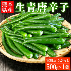 Y hq500g×1 F{Y h hq hq gEKV Ƃ炵yւzyiFgƂ炵z