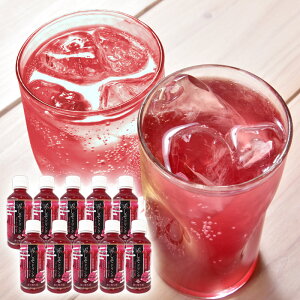  ԂhN 10{Zbg (200ml×10{) Xg[g^Cv F{Yhgp R[Qz hN h W[X _sgp