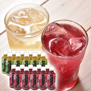  hN 20{Zbg (200ml×10{E200ml×10{) Xg[g^Cv F{Yhgp R[Qz hN h W[X _sgp