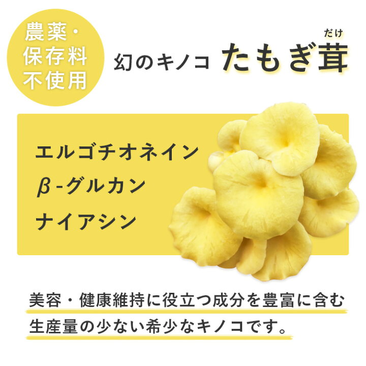 745円 81%以上節約 乾燥 花咲たもぎ茸50g×1袋 745円 81%以上節約 乾燥 花咲たもぎ茸50g×1袋