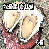 【検査済】能登産 岩牡蠣（生食用）5個（350g〜500g/1個）（牡蠣ナイフ、片手用軍手付）能登牡蠣 石川県 …