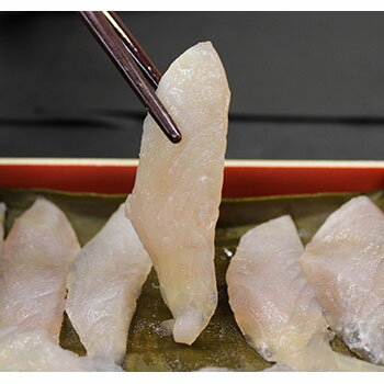 楽天市場 ウマヅラハギ 魚津寒ハギ 昆布締め刺身 天然 富山湾産朝どれを使用 産地直送 富山 物産展グルメ