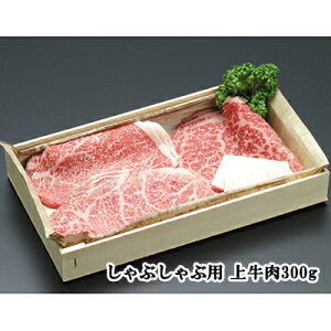 yzԂԗp㋍Zbg300g A5NYјa ɐd A5