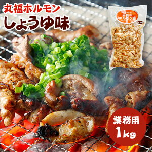 国産 豚ホルモン 焼肉 丸福ホルモン「しょうゆ味」業務用1kg【送料無料】菊脂(キクアブラ)入り 味付き バーベキュー bbq 肉 ホルモン焼き キャンプ飯