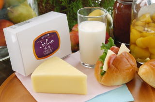 楽天市場】北海道 富良野チーズ工房 ホワイトチーズ 20個 国産 : 物産