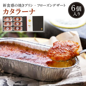 Ăv Mtg J^[i 6 َq mَq lߍ킹 a v[g Mtg i ̓ ̓ hV̓ Yn Y  Ε ؂ȕ j N nO 