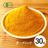 オーガニック ターメリック（ウコン） パウダー 30g【スリランカ産】【スパイス 香辛料】