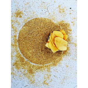 K[bNpE_[ I[KjbN L@JAS 100gyXpCX hzɂɂpE_[