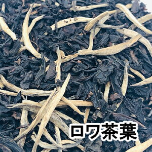 �����g�� �A�[���O���C ���� �h���b�v�^�C�v ���[�t�^�C�v �S�[���f���`�b�v